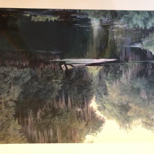 Withlacoochee Gator by Charles Rowe