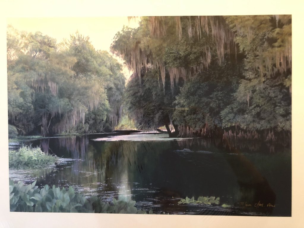 Withlacoochee Gator by Charles Rowe