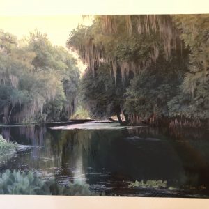 Withlacoochee Gator by Charles Rowe