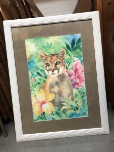 Florida Panther by Carol Perry