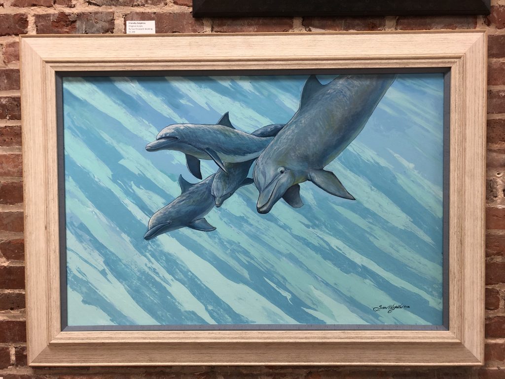 Friendly Dolphins by Susan Elizabeth Wolding