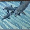 Friendly Dolphins by Susan Elizabeth Wolding