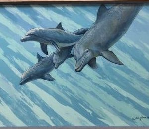 Friendly Dolphins by Susan Elizabeth Wolding