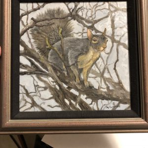 Grey Squirrel by Joy Campbell