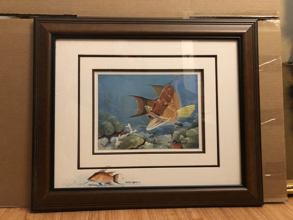 Hogfish by Thomas Krause