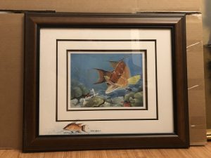 Hogfish by Thomas Krause