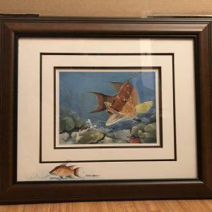 Hogfish by Thomas Krause