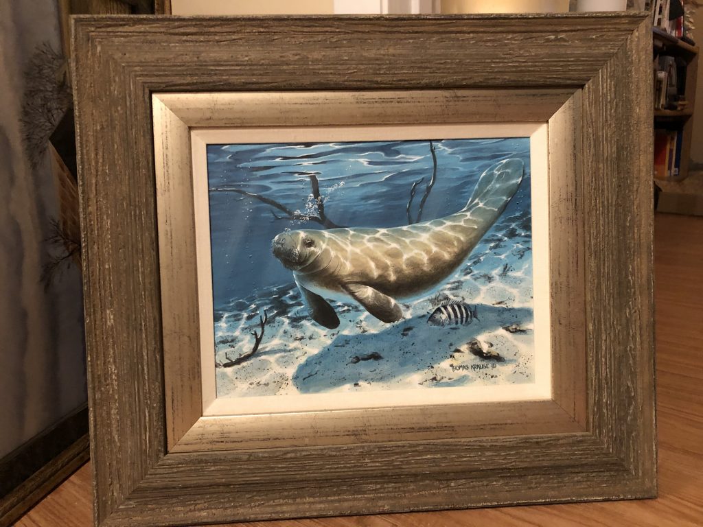 Manatee Original by Thomas Krause