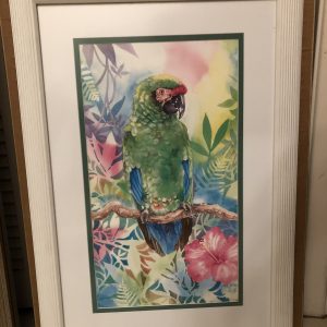 Military Macaw by Carol Perry