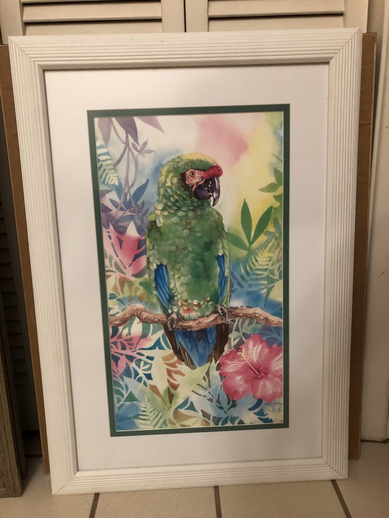 Military Macaw by Carol Perry