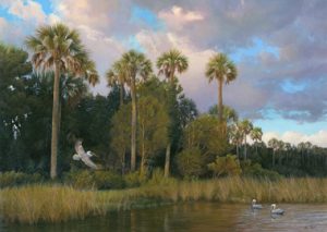 Pelicans Along The Coast by Charles Rowe