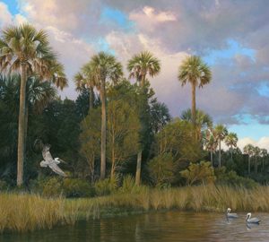 Pelicans Along The Coast by Charles Rowe