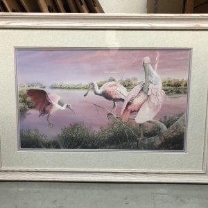 Roseate Spoonbill by Peter Gerbert