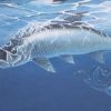 Tarpon by Thomas Krause