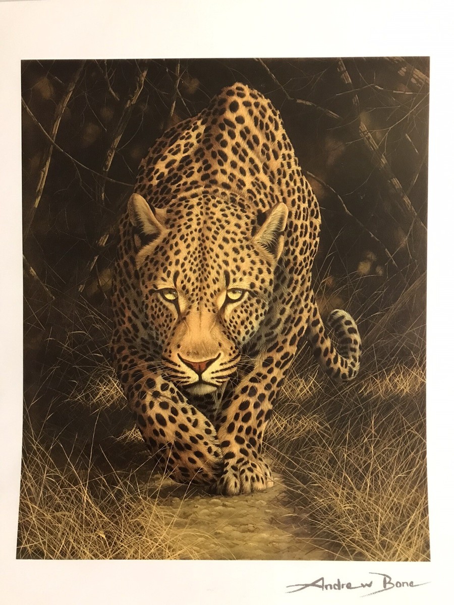 African Mystic by Andrew Bone