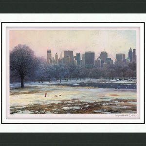 Central Park Skyline by Alexander Chen