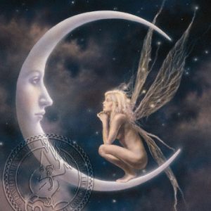 Fairy Moon by David Delamare