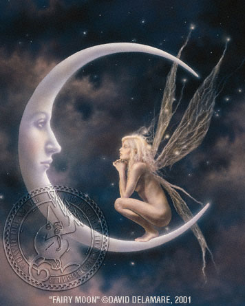 Fairy Moon by David Delamare