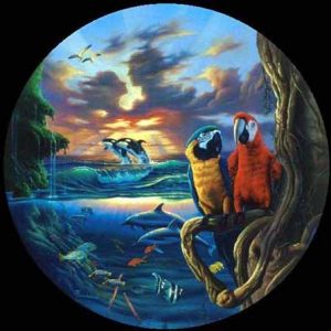 Paradise by Jim Warren