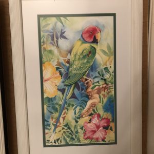 Red Headed Parrot by Carol Perry