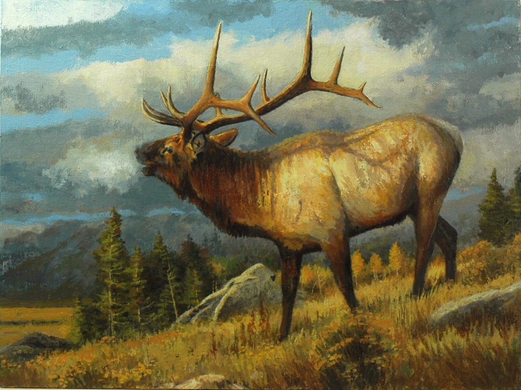 September Song by Pat McManus