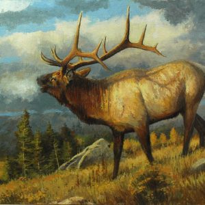 September Song by Pat McManus