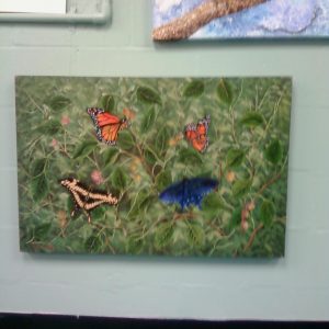 Succulent Butterflies by Juan Arroyo