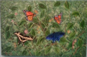 Succulent Butterflies by Juan Arroyo