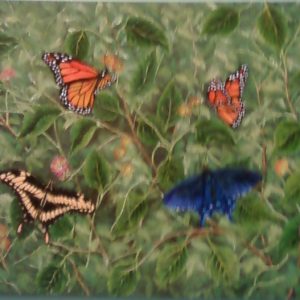 Succulent Butterflies by Juan Arroyo