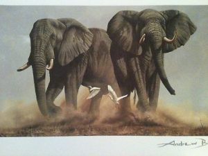 The Last Frontier by Andrew Bone