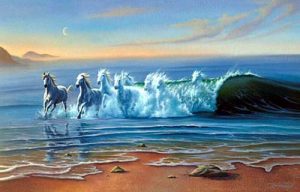 Wild Waters by Jim Warren