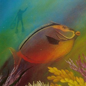 Unicorn Escape by Susan Elizabeth Wolding